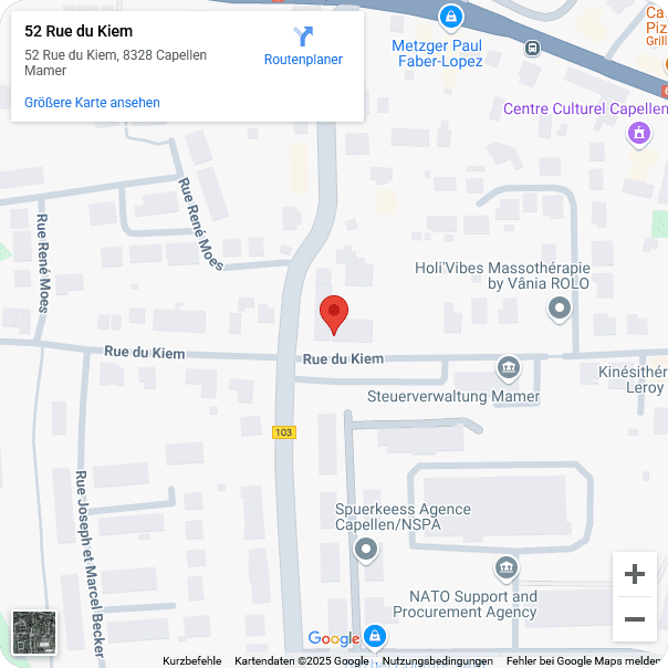 Google Maps